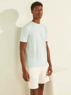 Blue Guess Eco Alphy Men's T-Shirts | 3519-BIMNJ