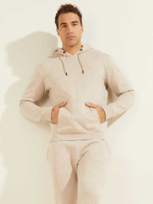 Brown Guess Eco Aldwin Men's Hoodies | 3485-EOUFP