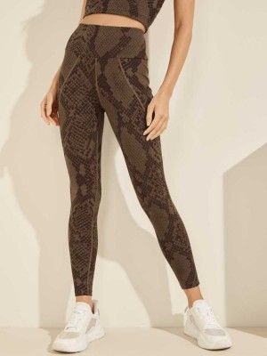 Brown Guess Erin Women's Leggings | 6278-OQBFG
