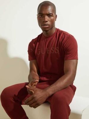 Burgundy Guess Eco Alphy Men's T-Shirts | 9052-HCDJN