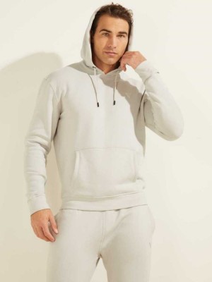 Grey Guess Eco Aldwin Men's Hoodies | 4295-YWOCU