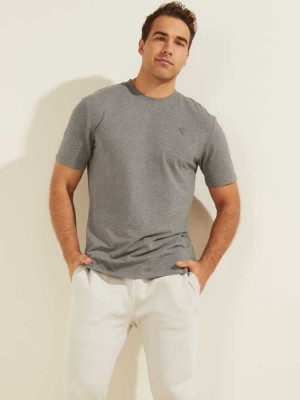 Grey Guess Eco Hedley Men's T-Shirts | 0893-SUMAQ