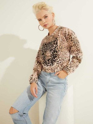 Leopard Guess Leopard Pullover Women's Sweatshirt | 7489-QKWTO