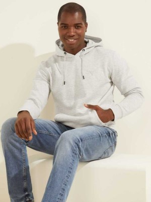 Light Grey Guess Eco Aldwin Men's Hoodies | 6248-UFEWB