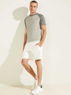 Light Grey Guess Playa Raglan Men's T-Shirts | 1653-ZXHWP