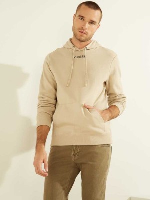 Titanium Guess Eco Roy Embroidered Logo Men's Hoodies | 0917-DKJWE